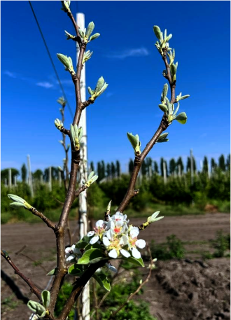 конференція 5
